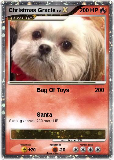 Pokemon Christmas Gracie