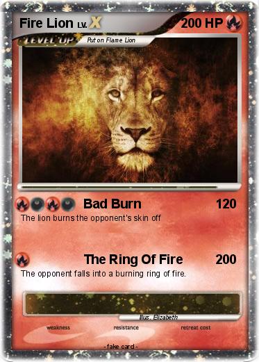 Pokemon Fire Lion