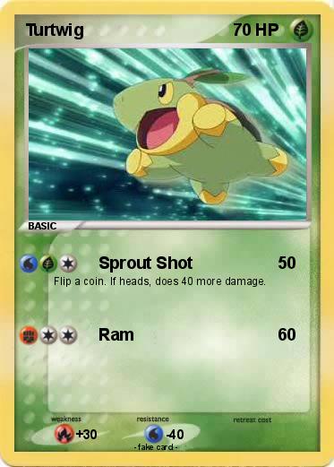 Pokemon Turtwig