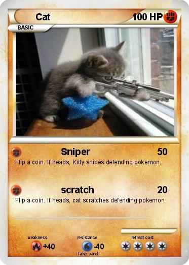 Pokemon Cat