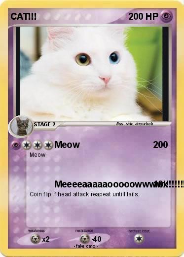 Pokemon CAT!!!