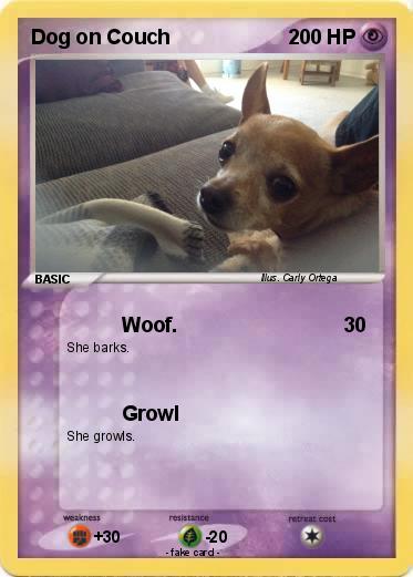 Pokemon Dog on Couch