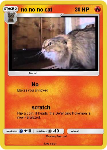 Pokemon no no no cat