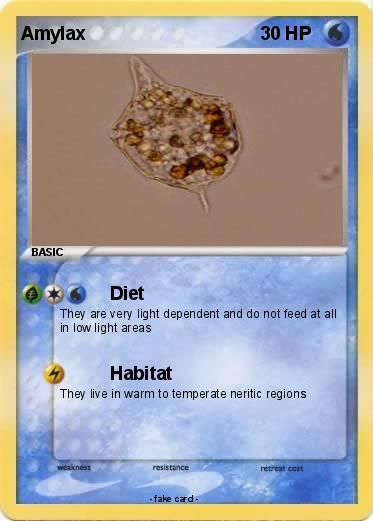 Pokemon Amylax