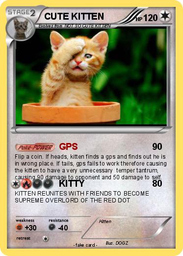 Pokemon CUTE KITTEN