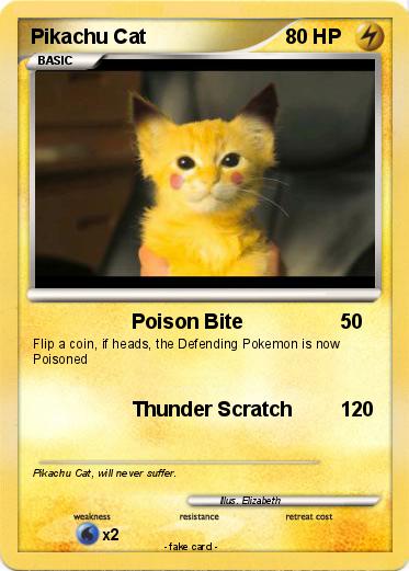 Pokemon Pikachu Cat