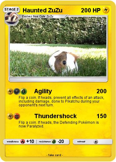 Pokemon Haunted ZuZu