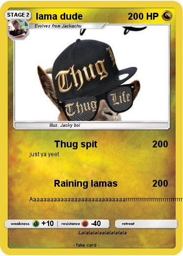 Pokemon lama dude