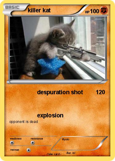 Pokemon killer kat