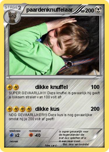 Pokemon paardenknuffelaar