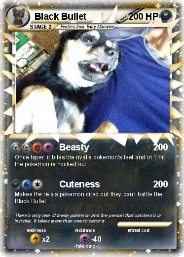 Pokemon Black Bullet