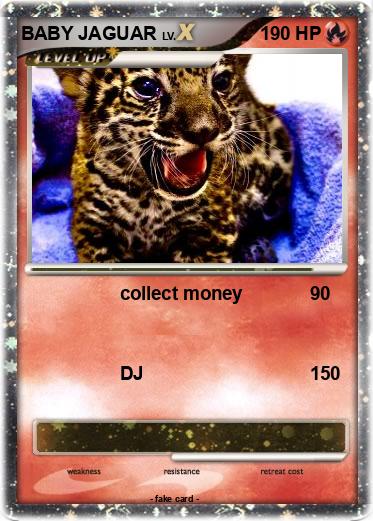 Pokemon BABY JAGUAR