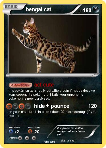 Pokemon bengal cat
