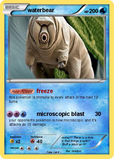 Pokemon waterbear