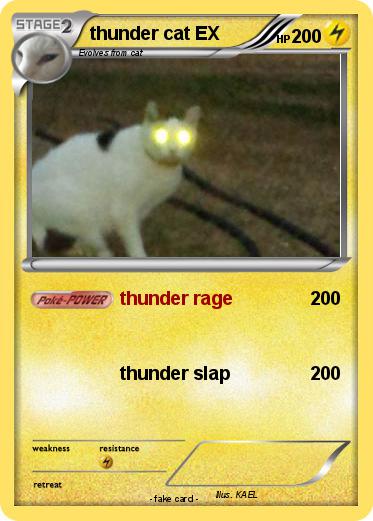 Pokemon thunder cat EX