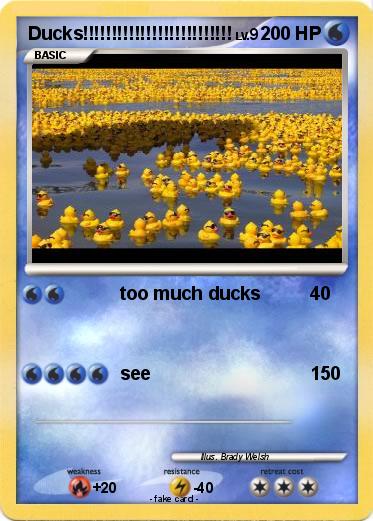 Pokemon Ducks!!!!!!!!!!!!!!!!!!!!!!!!!!