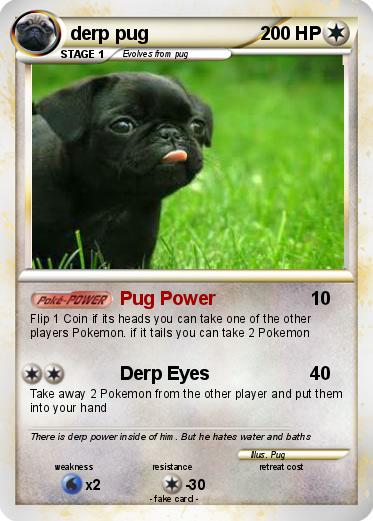 Pokemon derp pug