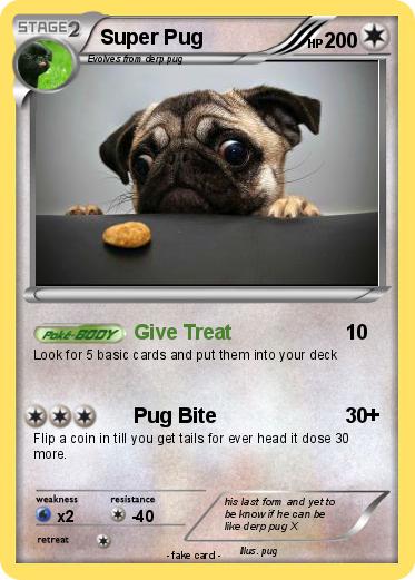 Pokemon Super Pug