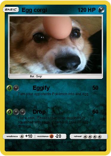 Pokemon Egg corgi