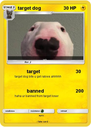 Pokemon target dog