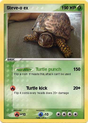 Pokemon Steve-o ex