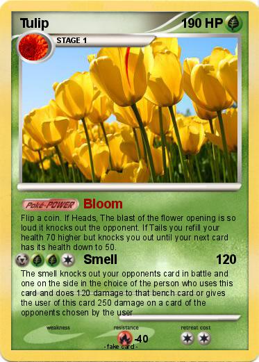 Pokemon Tulip