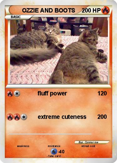 Pokemon OZZIE AND BOOTS