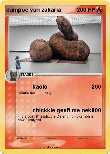 Pokemon dampoe van zakaria