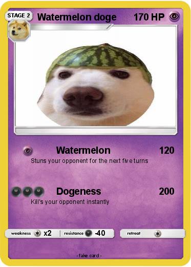 Pokemon Watermelon doge