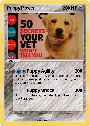 Pokemon Puppy Power