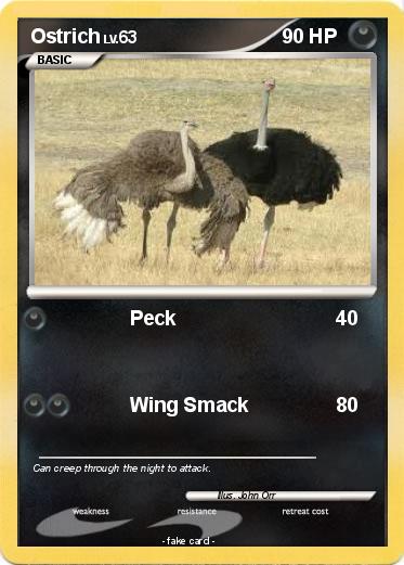Pokemon Ostrich