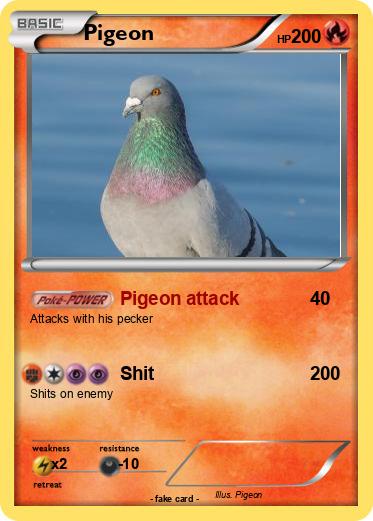 Pokemon Pigeon