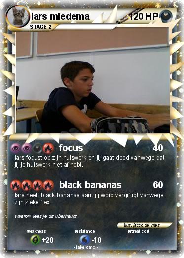 Pokemon lars miedema