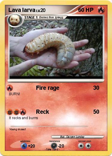 Pokemon Lava larva