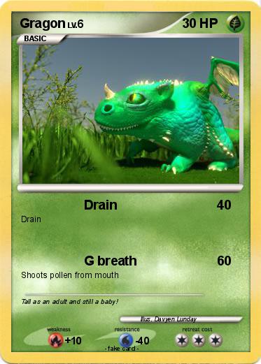Pokemon Gragon