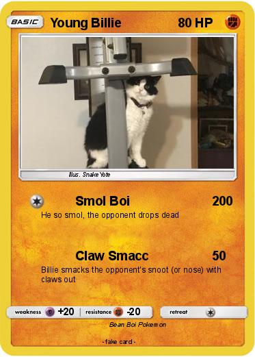 Pokemon Young Billie