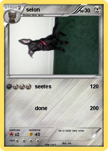 Pokemon selon