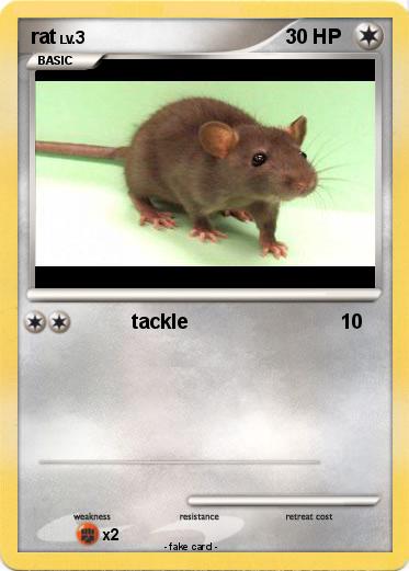 Pokemon rat