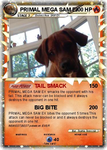 Pokemon PRIMAL MEGA SAM EX