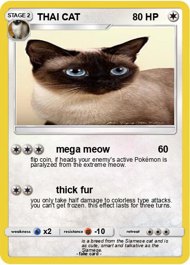 Pokemon THAI CAT