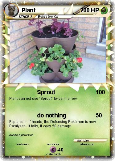 Pokemon Plant