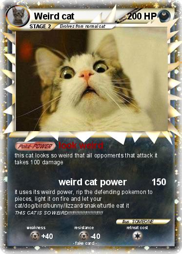 Pokemon Weird cat