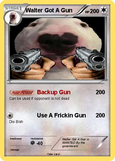 Pokemon Walter Got A Gun
