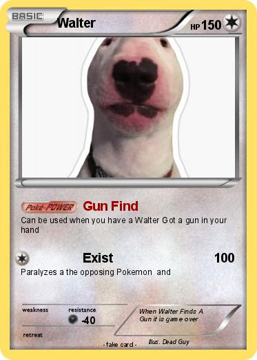 Pokemon Walter