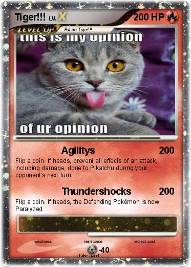 Pokemon Tiger!!!