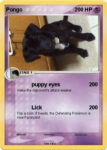 Pokemon Pongo