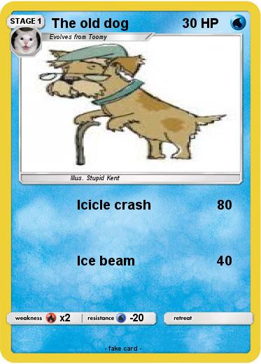 Pokemon The old dog