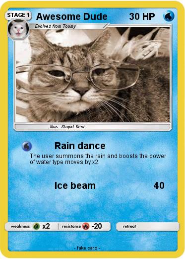 Pokemon Awesome Dude