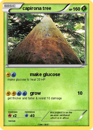 Pokemon capirona tree