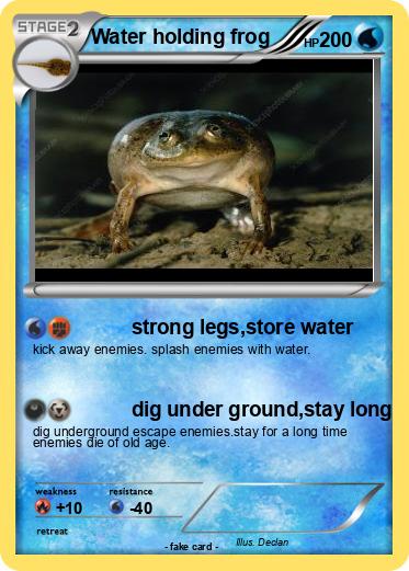 Pokemon Water holding frog